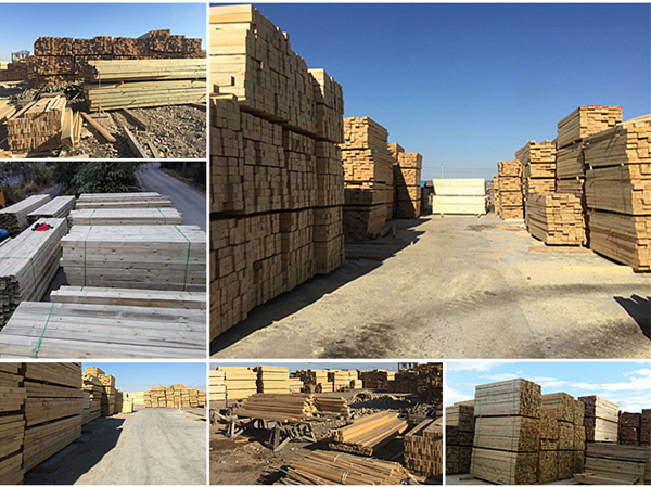 2026上海国际清洁技术与设备博览会(上海清洁展CCE)